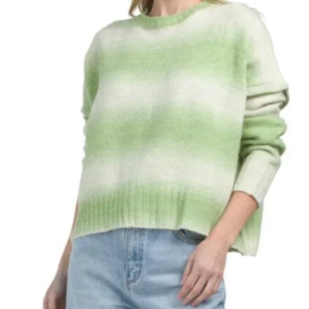 NWT! WISHLIST Ombre Striped Sweater in Size S and Color Honeydew